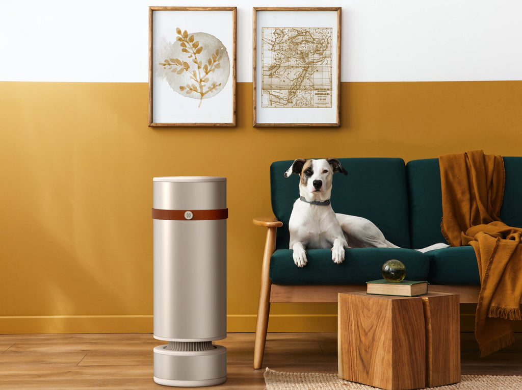 Heatbit Mini in a bohemian interior with a dog next to it