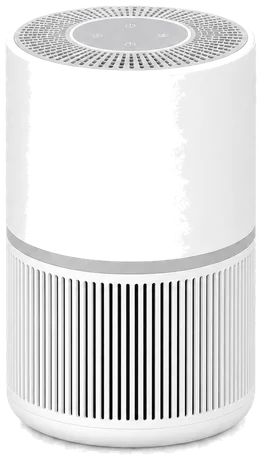 Typical purifier