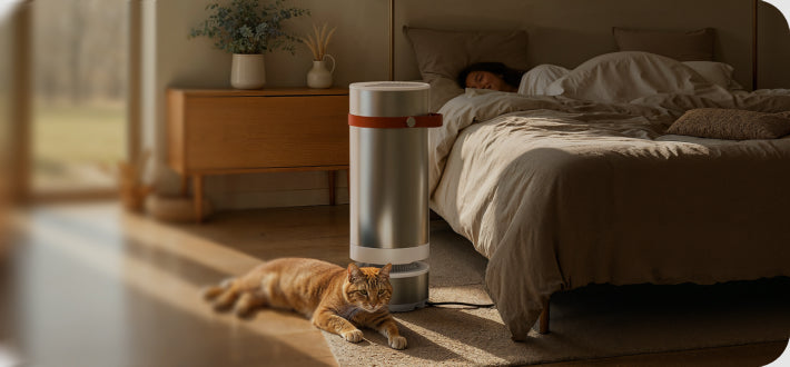 Heatbit Trio on a carpeted floor next to a cat and a woman sleeping in bed